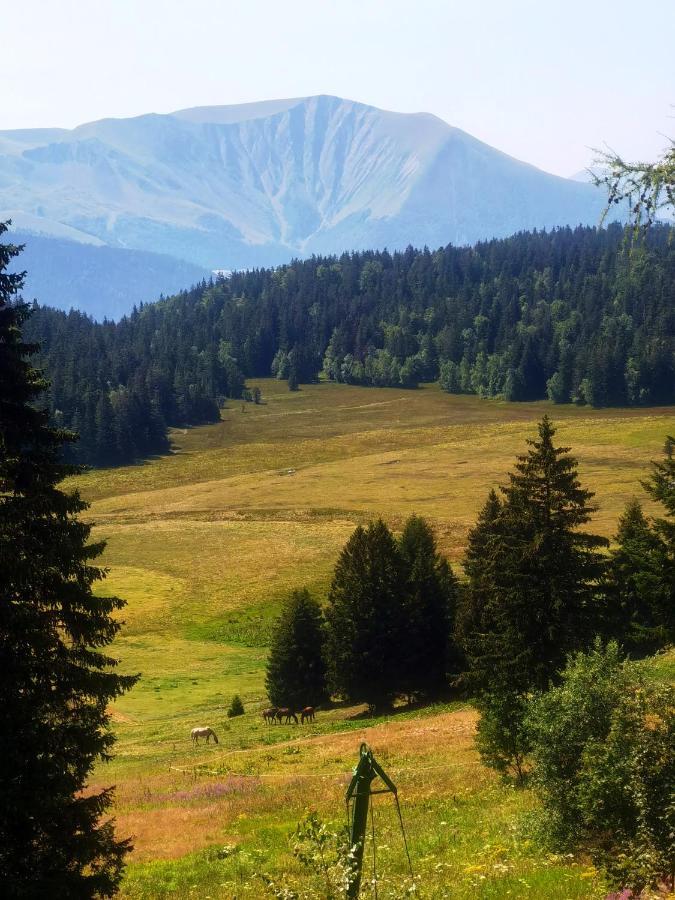 Chamrousse-Sport&Detente Appartement 6 Couchages Avec Superbe Vue מראה חיצוני תמונה